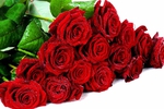 buy me flowers