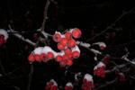 first snow 2025