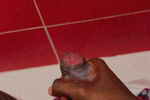 BBC 🍆