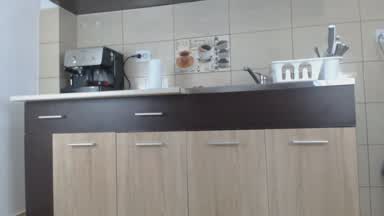 Too lazy to wash the dishes