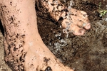 Filthy Muddy FEET Set