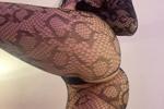 My ass in your face