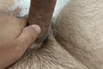 Cock