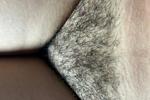my hairy pussy