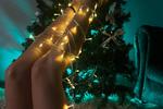 Merry Christmas 2024