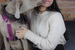 PhotoShoot 10.0