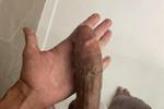 BIG BRAZIL D