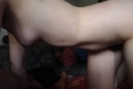 body