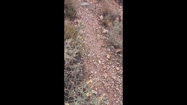 Grand Canyon BJ!