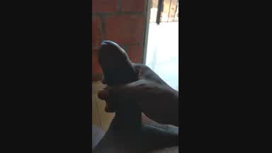 Huge dick Open door