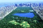 post-move to New York my dream