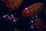 Old Pics 🤭