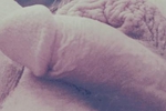 Floppy Cock