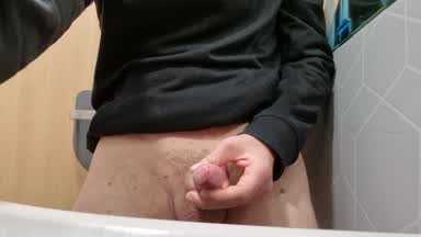 Fast Cumshot in a TRAIN TOILET