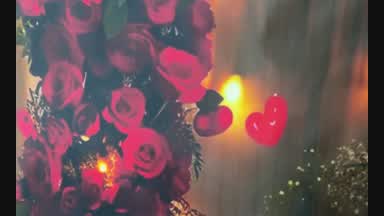 Happy Valentine's Day