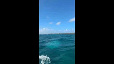 The sea knows my secrets