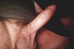 My fat Dick