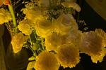 Flowers for me