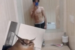 fotos