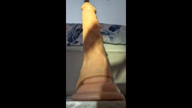 bebbonudist