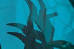 shadow claws
