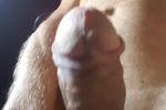 mine