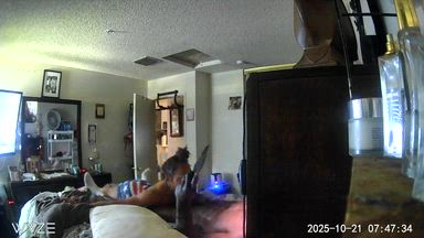 swallow all my husband bbc nut