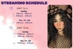 connection schedule