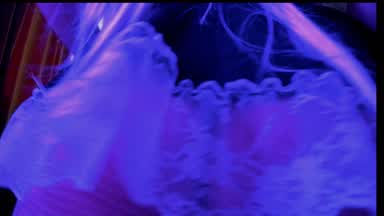 Milk_0_eva