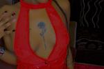 Red rose