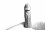 Hidef Closeup of COCK