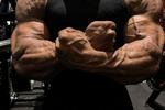 Muscle shots