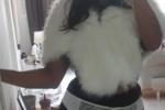 Album to see creations I have made!!