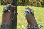 Frosting covered toes