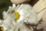 you, me, fields and flowers