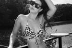 Summer Vibe