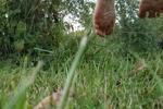 Out Door Feet