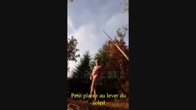 le matin en foret