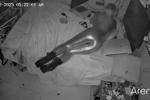 Oralllee’s cleaner pics