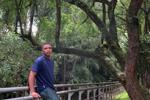 demond — What a beautiful landscape