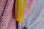 anna - not anna - right anna ) — Corn toy