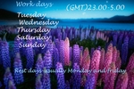 schedule