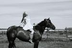 W/B with horse