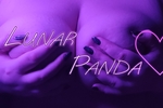 Hand bra🍒 (F size)