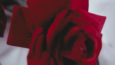 🔥🌹 Morena, petite… but dangerously addictive.