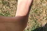 Just admire without touching