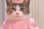 Lovense wishlist
