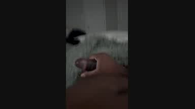 Nut