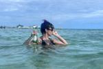 Beauty in the beach