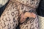 Bodystocking
